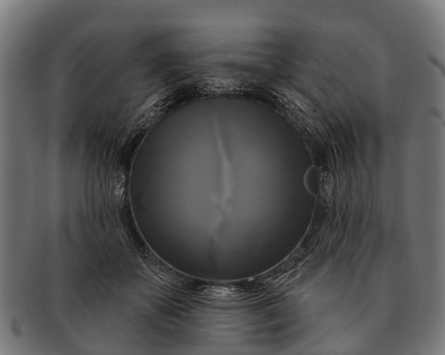 X0000091640507200709131434