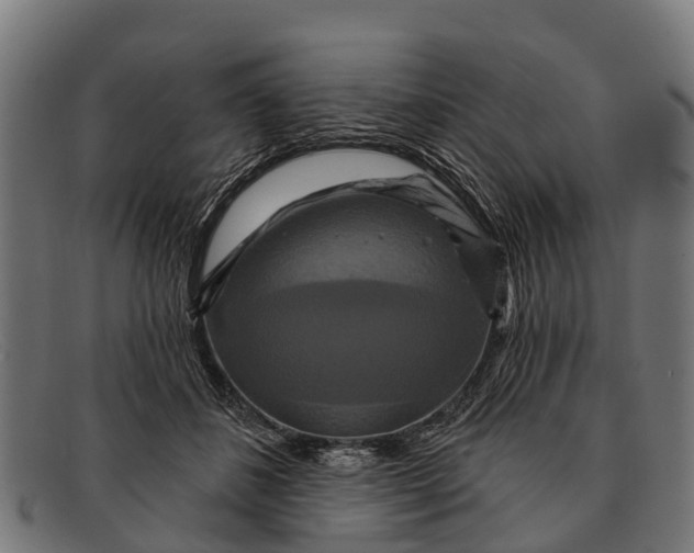 X0000091640508200709131434