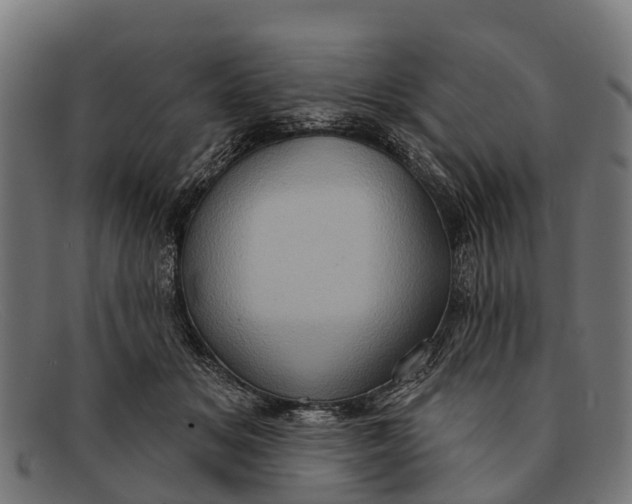 X0000091640509200709131434