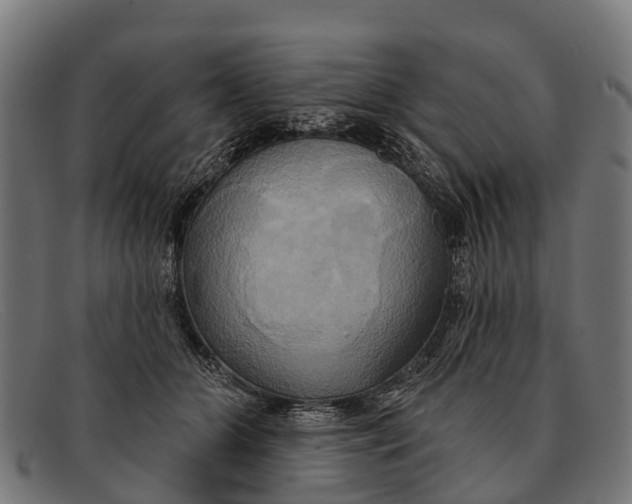 X0000091640510200709131434