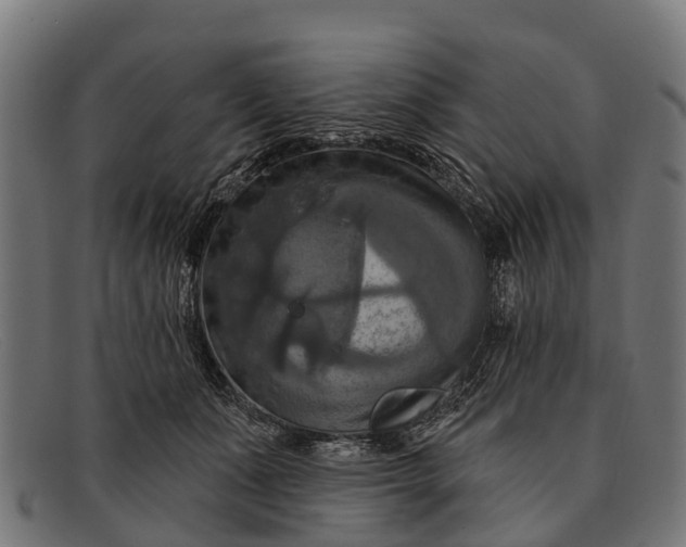X0000091640511200709131434