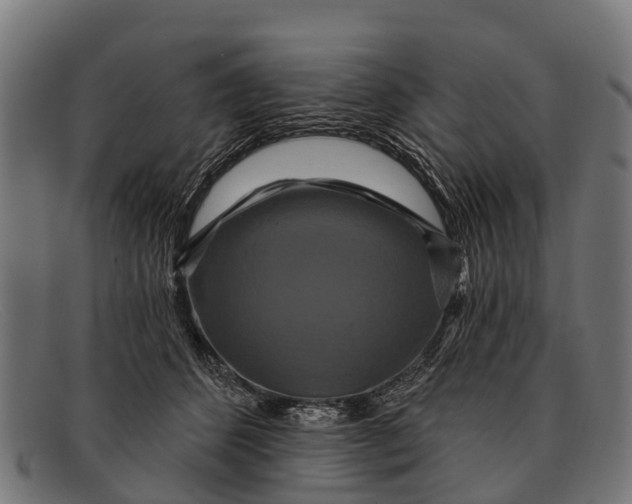 X0000091640512200709131434