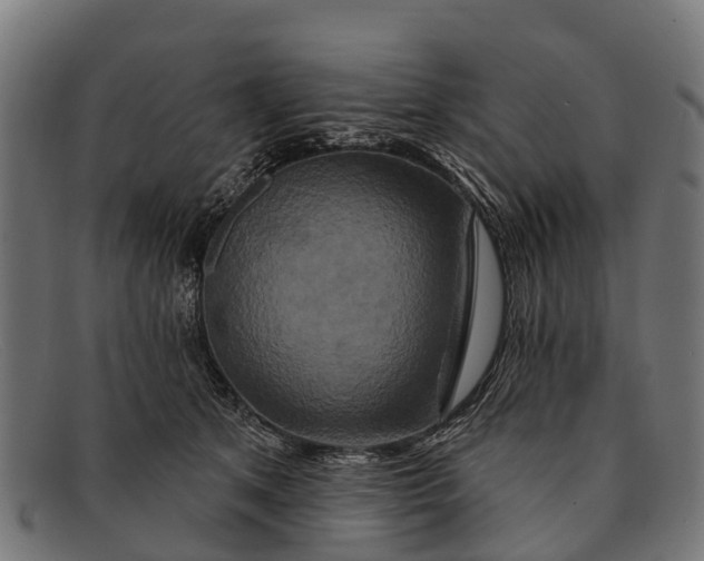 X0000091640513200709131434