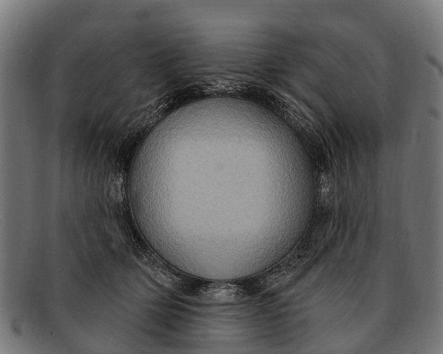 X0000091640514200709131434