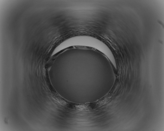 X0000091640516200709131434