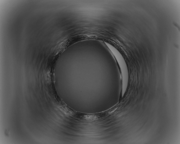 X0000091640520200709131434