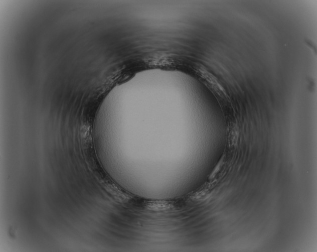 X0000091640521200709131434