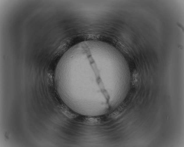 X0000091640522200709131433