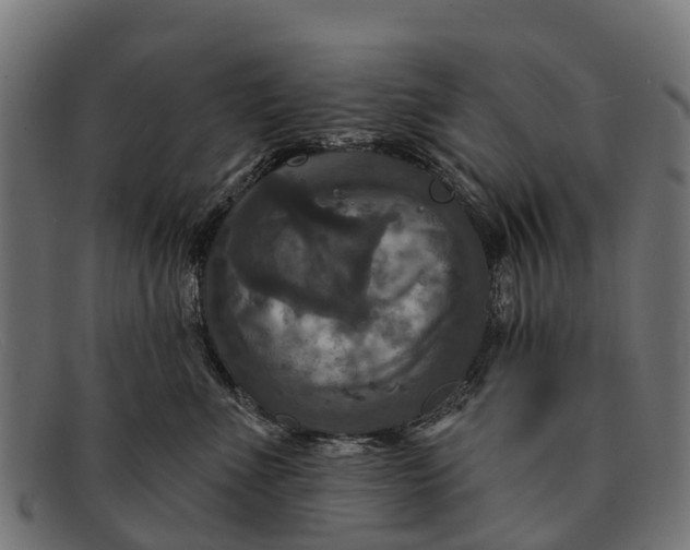 X0000091640523200709131433