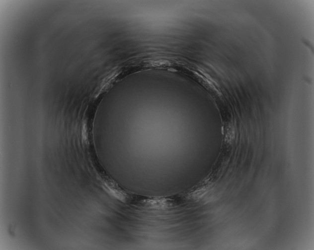 X0000091640524200709131433
