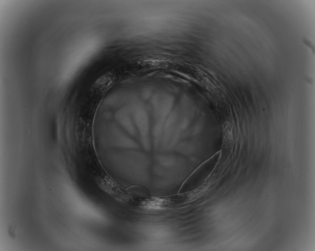X0000091640527200709131433