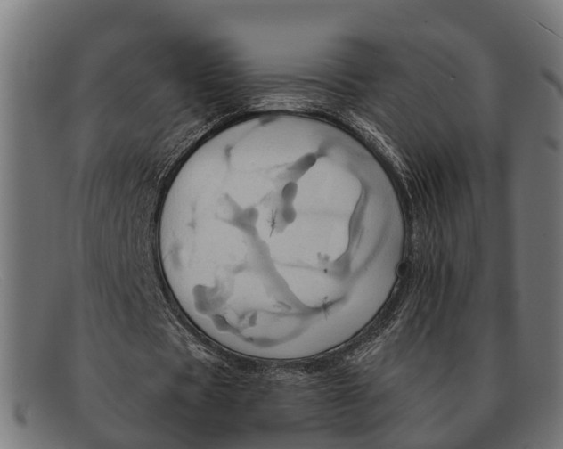 X0000091640529200709131433