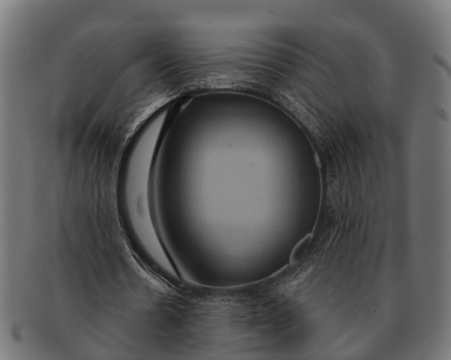 X0000091640530200709131433