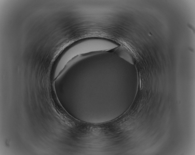 X0000091640531200709131433