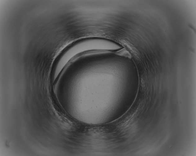 X0000091640532200709131433