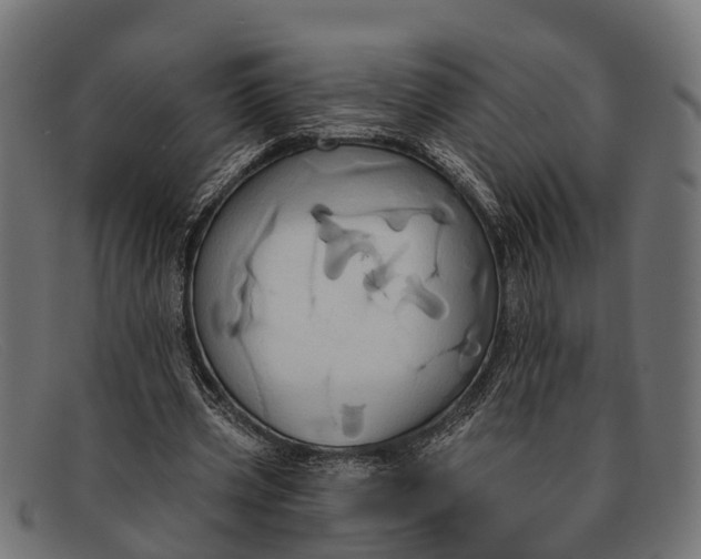 X0000091640533200709131433