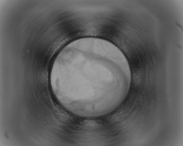 X0000091640534200709131433