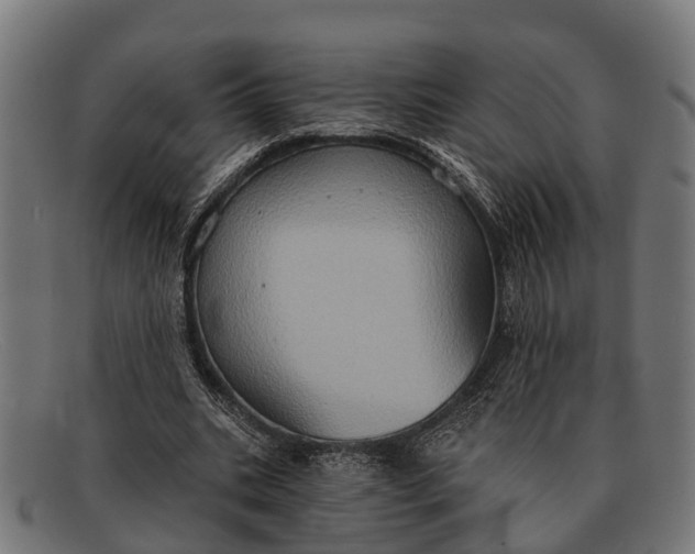 X0000091640535200709131433