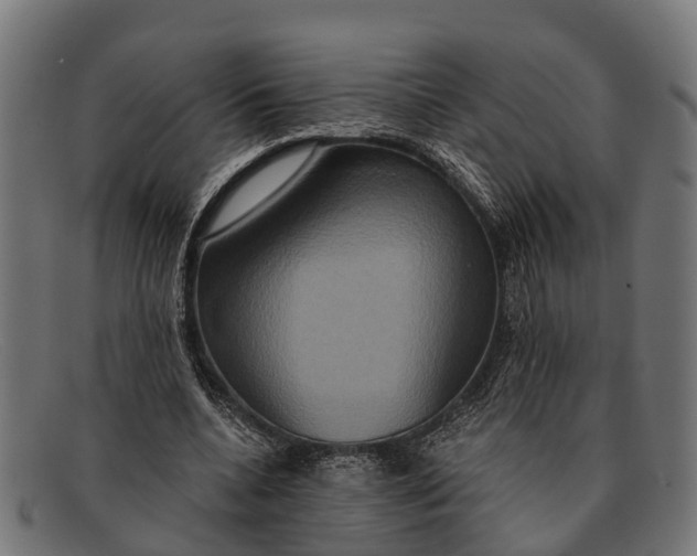 X0000091640536200709131433