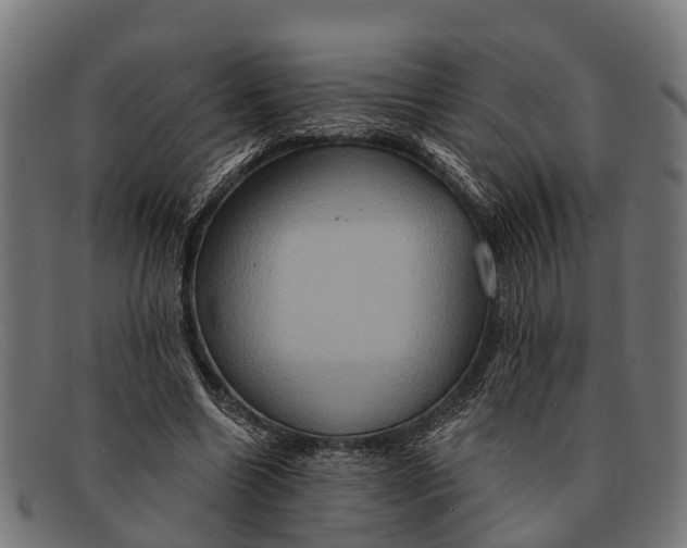 X0000091640538200709131433
