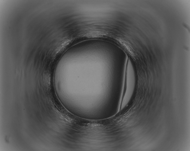 X0000091640539200709131433