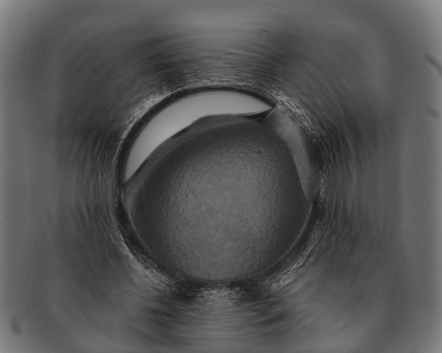 X0000091640540200709131433