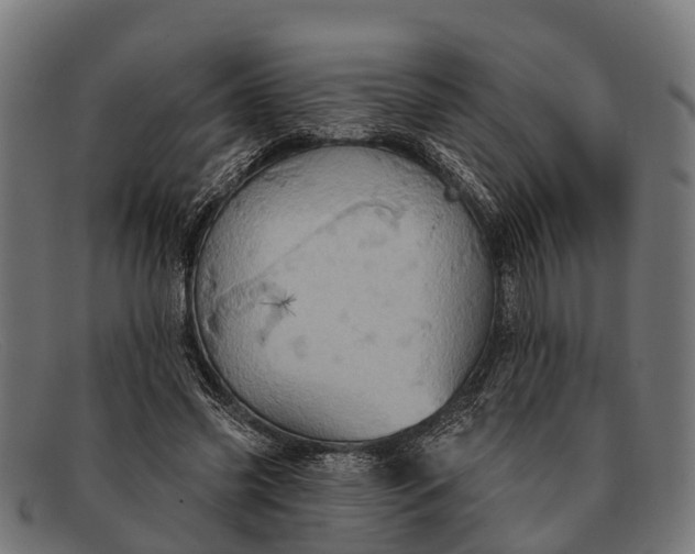 X0000091640541200709131433