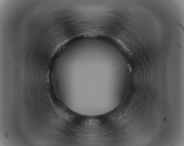 X0000091640543200709131433
