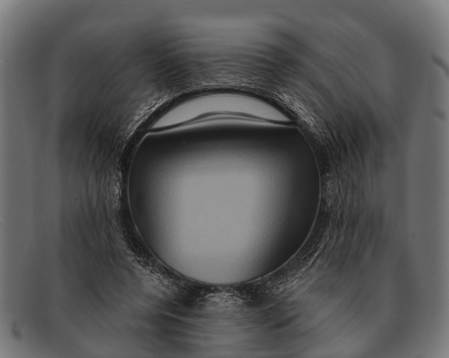 X0000091640544200709131433