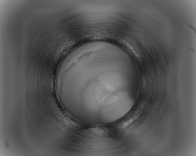 X0000091640545200709131433