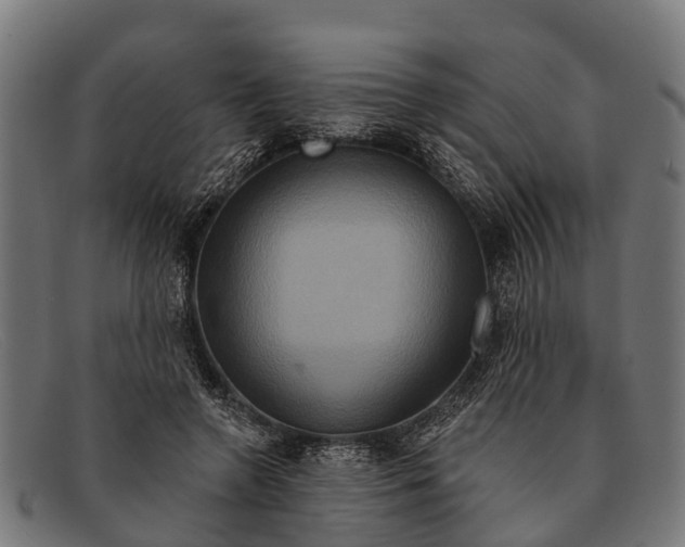 X0000091640546200709131433