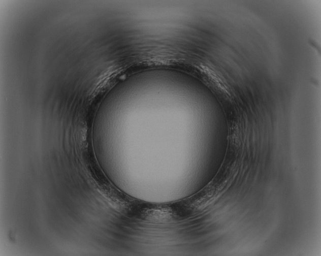 X0000091640548200709131433