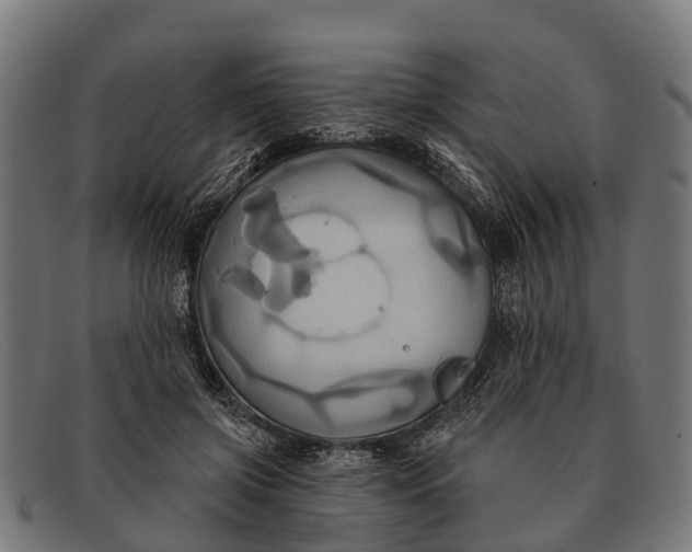 X0000091640549200709131433