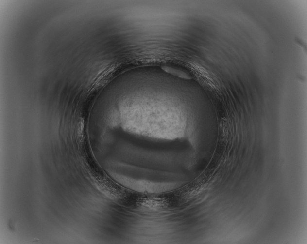 X0000091640550200709131433