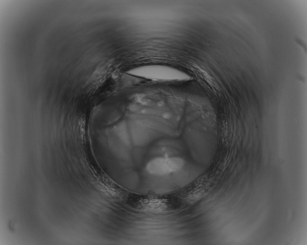 X0000091640553200709131433