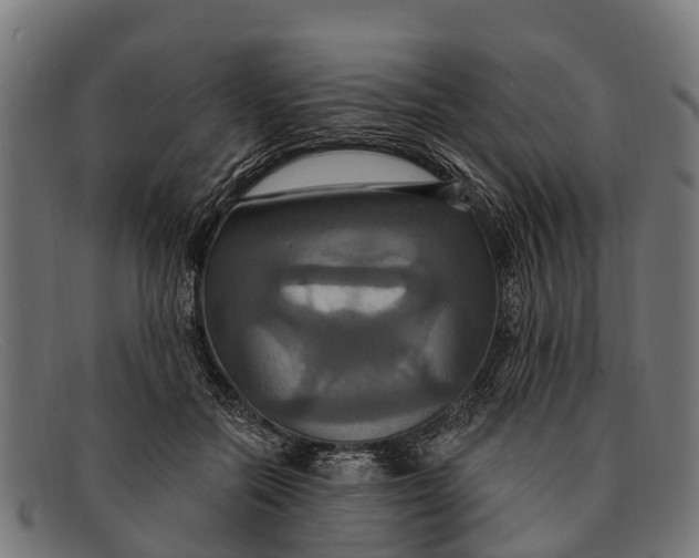 X0000091640554200709131433