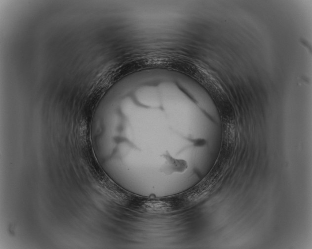 X0000091640557200709131433