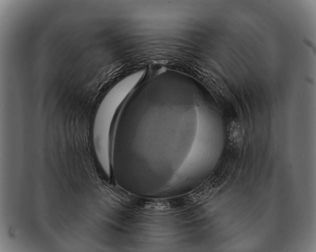 X0000091640559200709131433