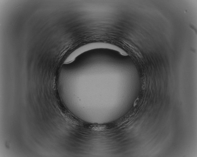 X0000091640560200709131433