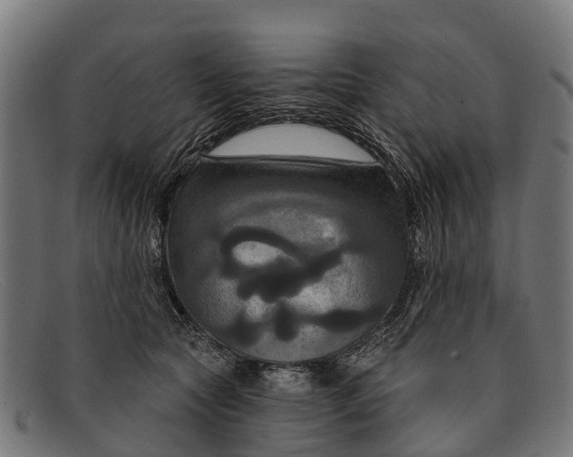 X0000091640561200709131433