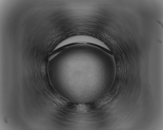 X0000091640562200709131433