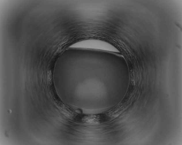 X0000091640563200709131433