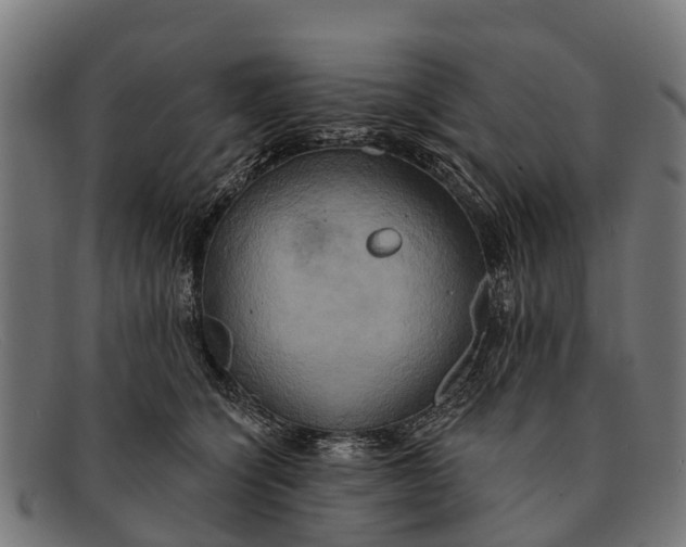 X0000091640564200709131433