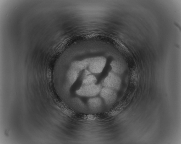 X0000091640565200709131433