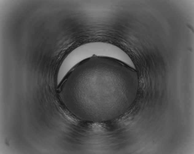 X0000091640566200709131433