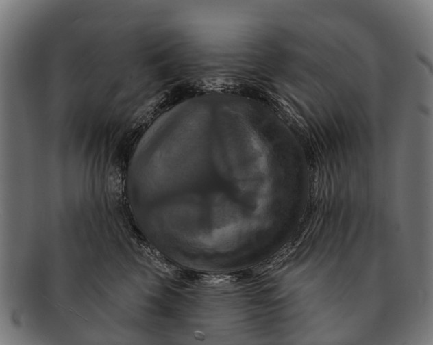 X0000091640569200709131433