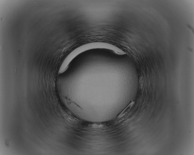 X0000091640570200709131433