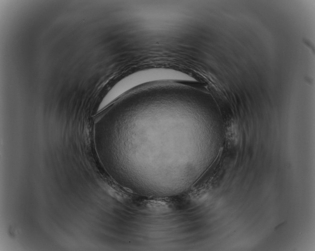 X0000091640572200709131433