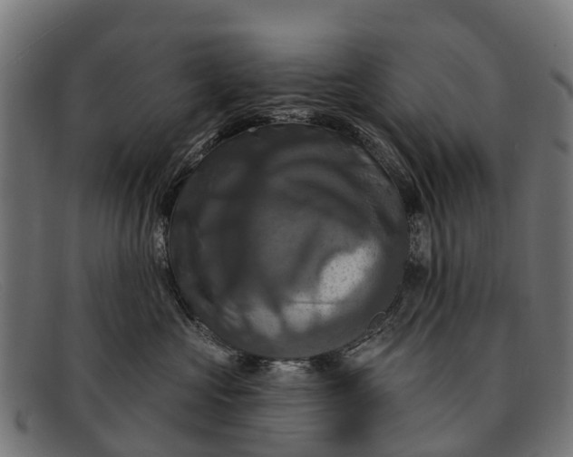 X0000091640573200709131433