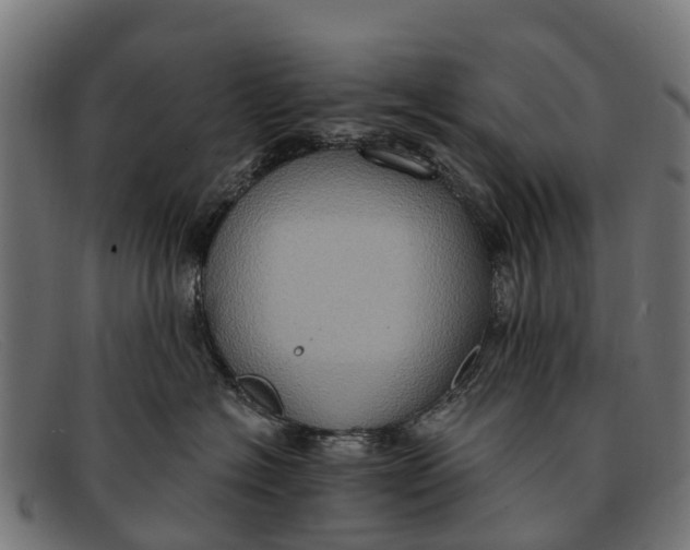 X0000091640574200709131433